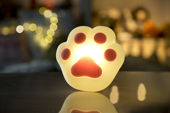 9ff8a0e5f7c311e25d9e23f7fcaa7ce2