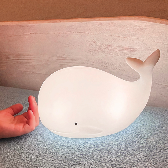 9a195e0b5939ce91b268bcabf88fbf0a