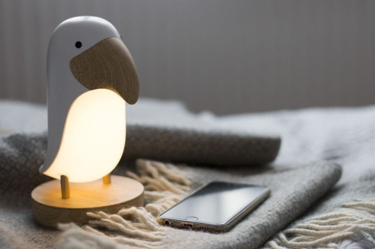 87621cf5d84970aea3a0d0537ae03ccc