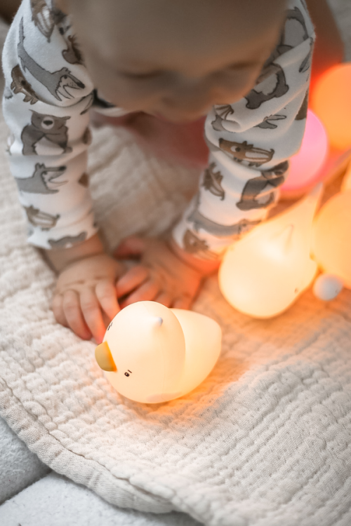 4bdfa6294355e5a244887fabbc6e14ab