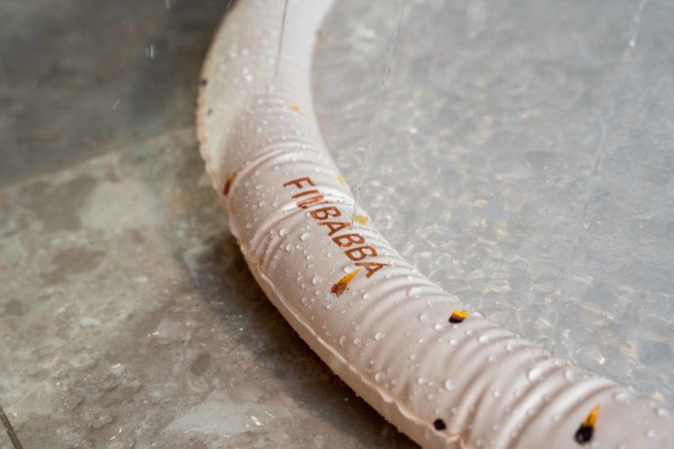 247534ccecd8e68f2aecbb6091ff0203