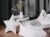 DSF8293.webp