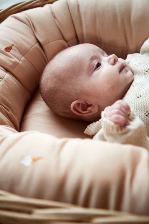 6746d23e263221837a8e4c8a6fe2ba39