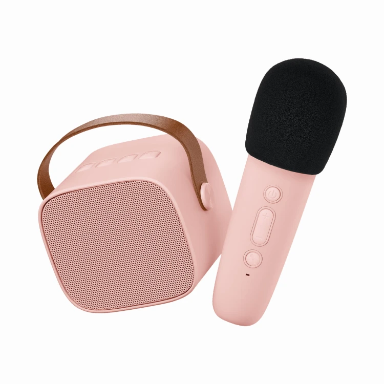 Lalarma_Karaoke_PINK_sRGB_3000px(1).jpg