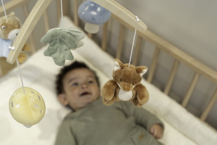 61c7cf9a0632de96b2e70b0656bf52ee