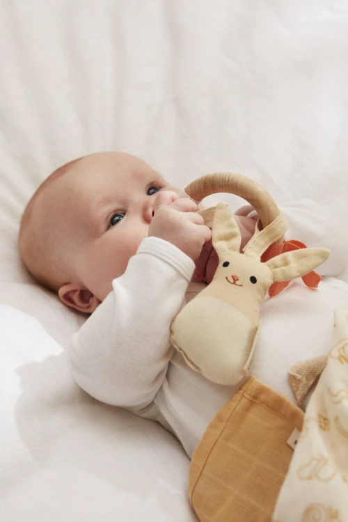 9d3942f869cdb53dc43f6735c13c7900