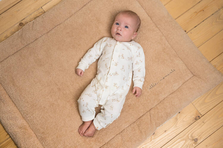 a598faeac52cc25d85051ded2de36f03