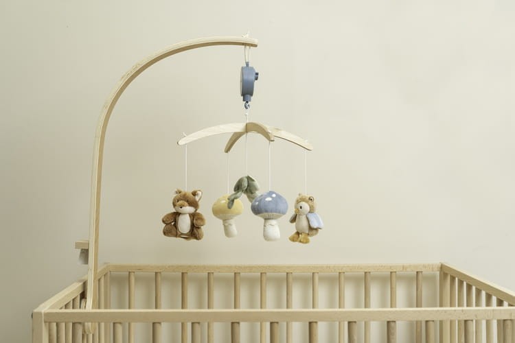 62b5528437059519b254792c497a544b