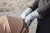 a57e8faf0724ee7dad4bb4840134e431