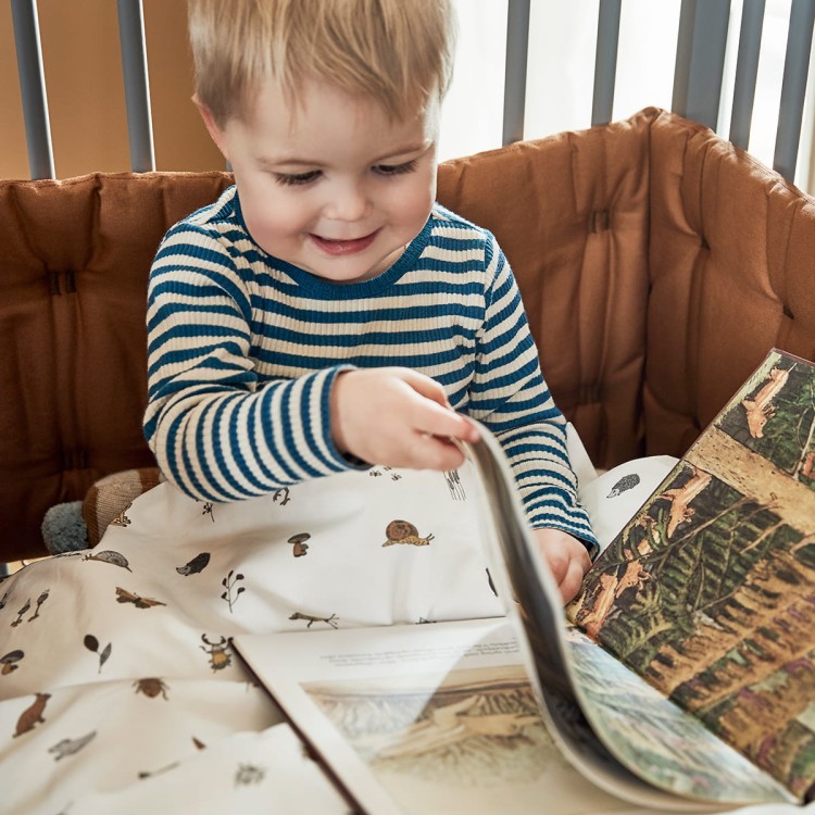 6e19db8b2a5554da3b36822779006db4