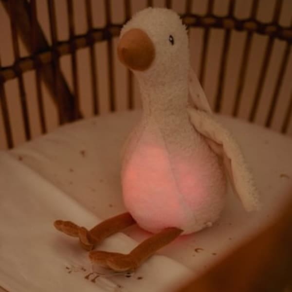 ed9ce49c38d054e5637ecf6392262a1b