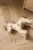 c69a1a1696071ee3eb30df524e74440e
