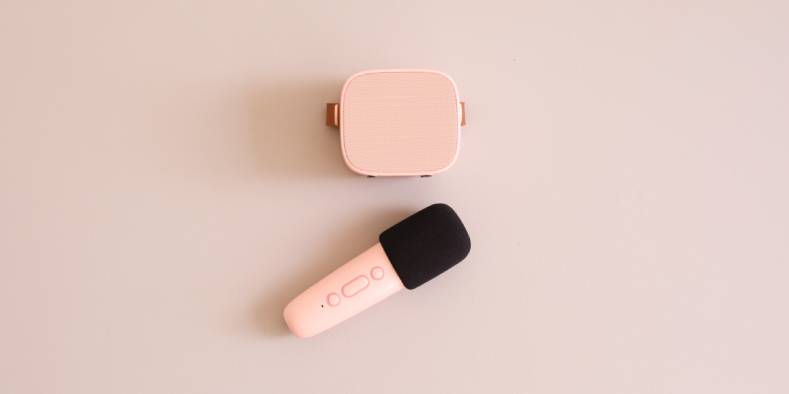 LaLarma - Bezprzewodowy zestaw do karaoke-rose